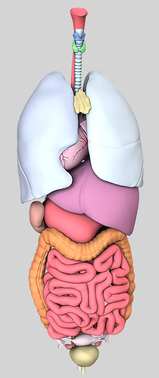 Syntetyczna biologia mikro-organizmy